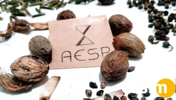 Aesp - R. Maria P. Violete