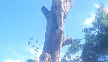 Américo de Maricá Máquinas, Ferramentas e Variedades - Maricá