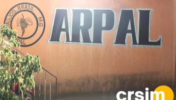 Arpal Artes Pedras Araujense - - Centro