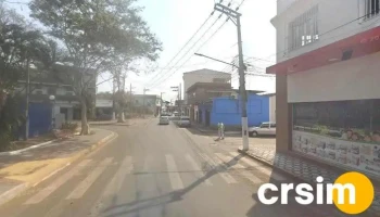 Arte da Criança - Quatis