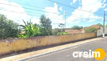 Clube Palmeiras - 411