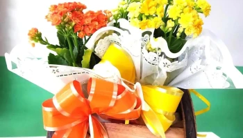 Florart Variedades - 455 - Centro
