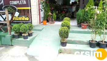 Floricultura Orquídeas da Serra - Areal