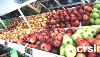 HortiFruti Jb - Carmo