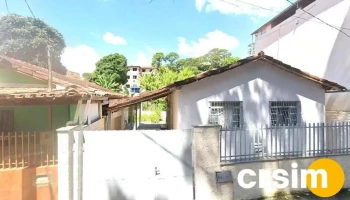 InfoCenter - N 175 - Abre Campo