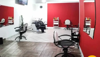 Instituto Original Areal - Areal