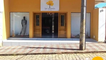 Ipê Amarelo - 173 - Cachoeira De Minas