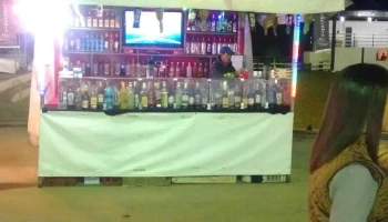 Parque de Exposição Prefeito José Teixeira de Rezende - 36428-000