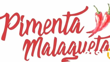 Pimenta Malagueta - Brasilândia De Minas - Mg