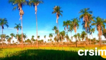 Prefeitura Municipal de Carneirinho - Mg - 284 - Centro