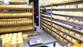 Queijo Alagoa Golden - Sn - Entre Morros