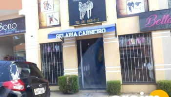 Selaria Carneiro - 505 - Borda Da Mata
