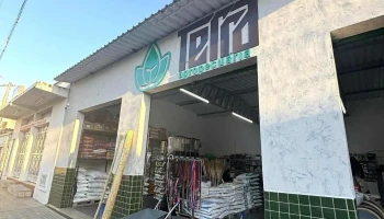 Terra Agropecuária - 210