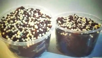 Toda Torta - Duas Barras