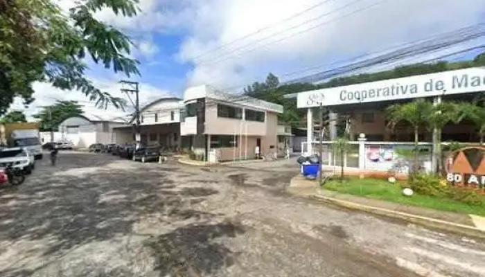 80 Anos -  Tudo - Macuco
