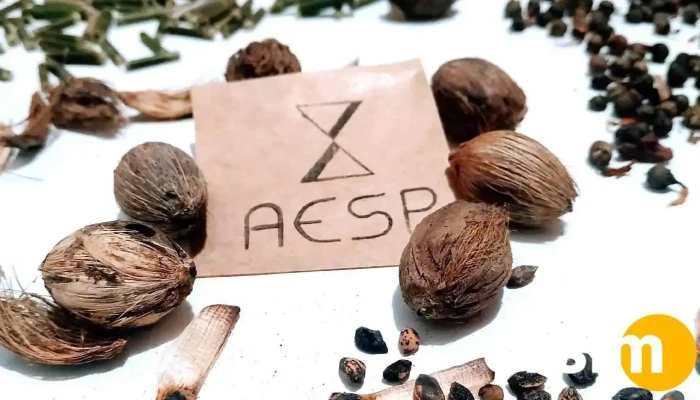 Aesp - R. Maria P. Violete