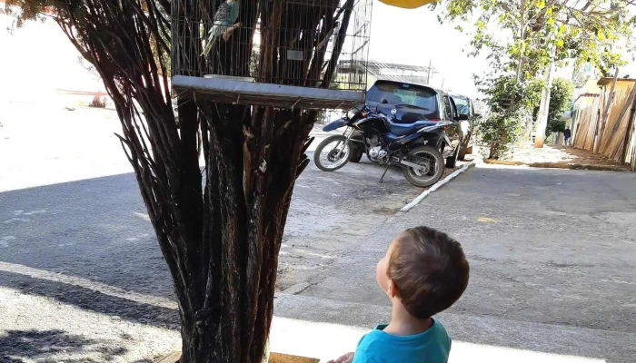 Agrocarmo -  Loja De Racao - Carmo