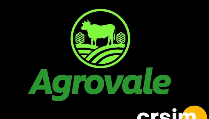 Agrovale Produtos Agricolas E Agropecuarios Ltda - Rua Dos Carijós