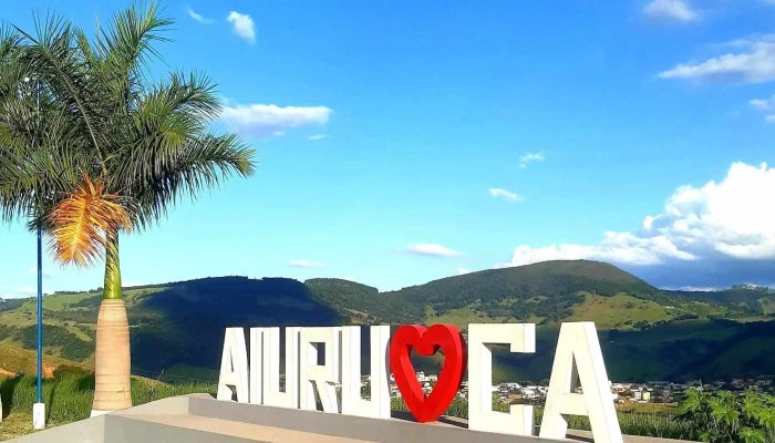 Aiuruoca Mg -  Principal - 191