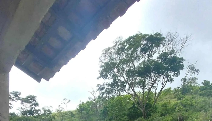 Alambique Vieira E Castro -  Numero - Rio Das Flores