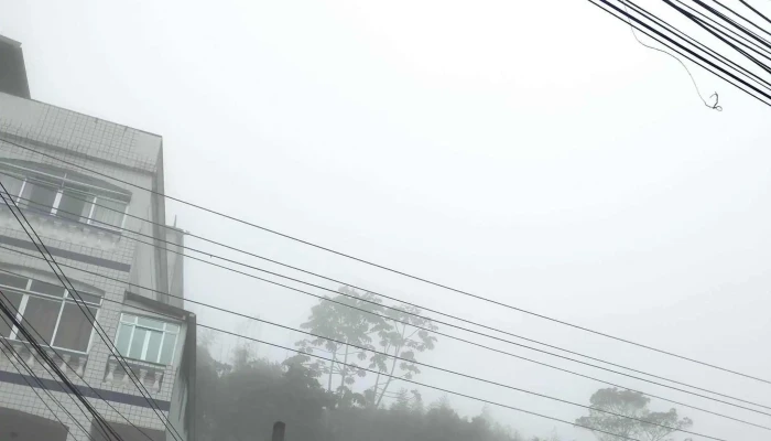 Art Linea -  Loja De Roupa - Petrópolis
