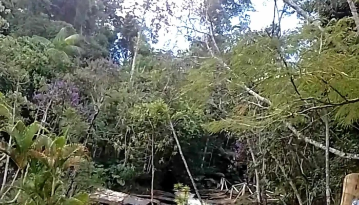 Cachoeira Do Thadeu -  Fazenda - Duas Barras