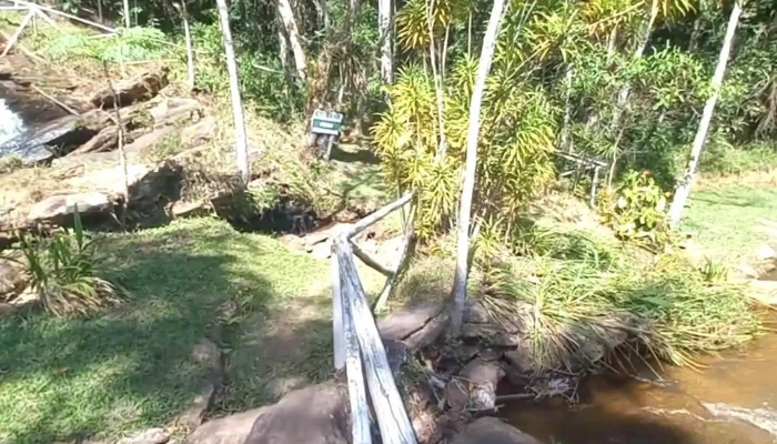 Cachoeira Do Thadeu -  Videos - Duas Barras