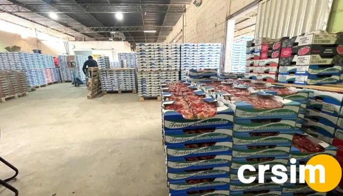 Ceasinha do Morango - Cpam - - Nossa Senhora De Fátima