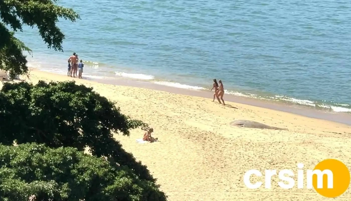 Club Med Rio Das Pedras -  Mais Recentes - Mangaratiba