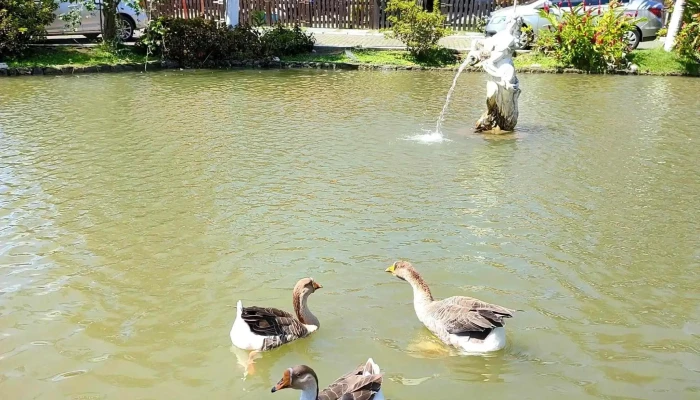 Condominio Pontal De Muriqui -  Como Chegar - Mangaratiba