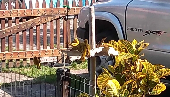 Condominio Pontal De Muriqui -  Perto De Mim - Mangaratiba