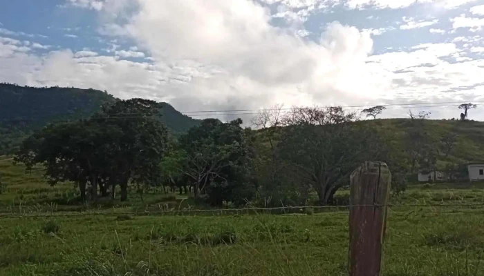 Eletrocicle Colonia Loja De Moveis - São Fidélis
