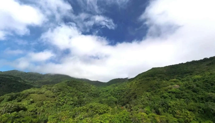 Eu S2 Ilha Grande -  Street View E 360deg - Angra Dos Reis