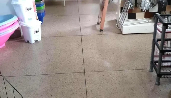Fernandes distribuidora de utilidades domésticas - 500