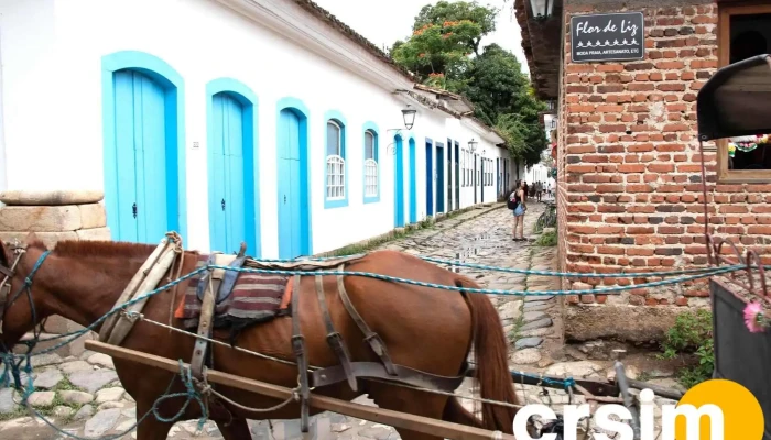 Flor De Liz -  Tudo - Paraty