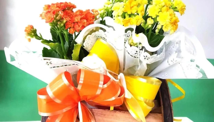 Florart Variedades - 455 - Centro