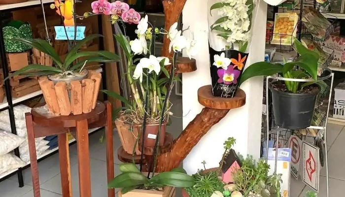 Flores E Cia -  Interior - Porciúncula
