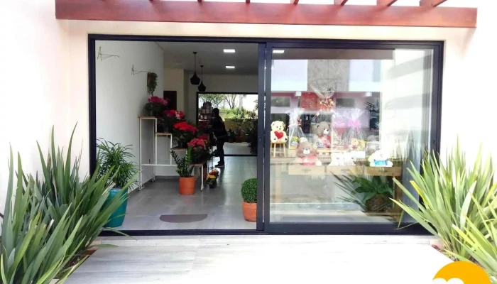 Floricultura Beija-Flor - 203