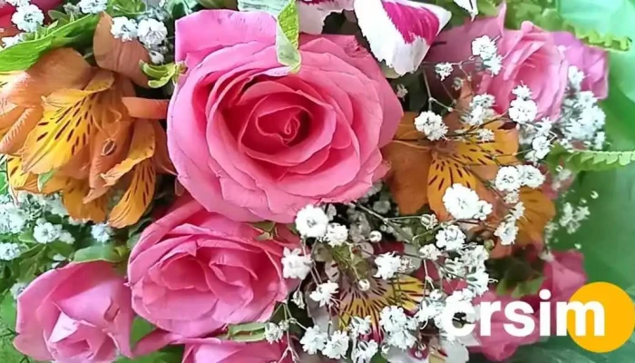 Floricultura Horto Casa Com Fulo Videos - Arraial Do Cabo