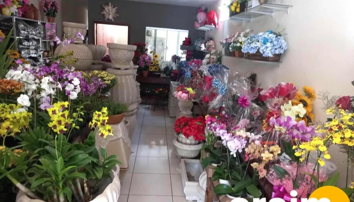Floricultura Lírios da Paz - - Carneirinho
