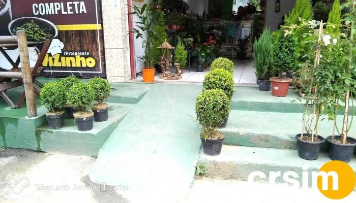 Floricultura Orquídeas da Serra - Areal