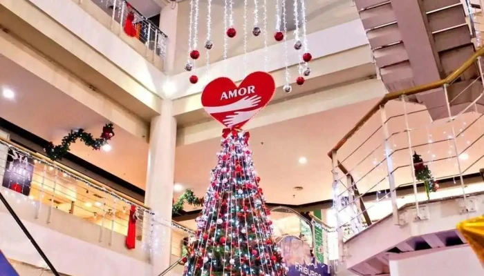 Friburgo Shopping Center -  Do Proprietario - Nova Friburgo
