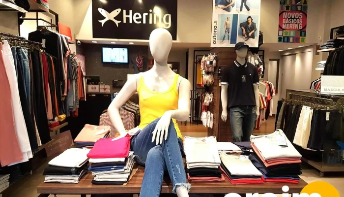 Hering -  Principal - - Varzea/centro