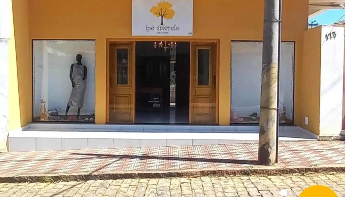 Ipê Amarelo - 173 - Cachoeira De Minas