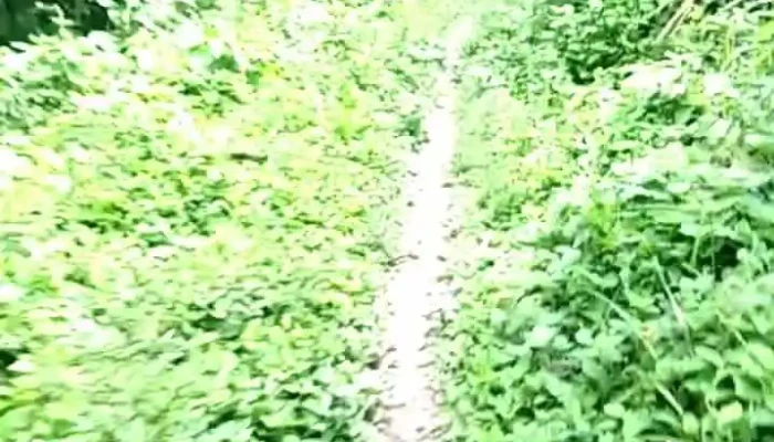 Japeri -  Videos - Japeri