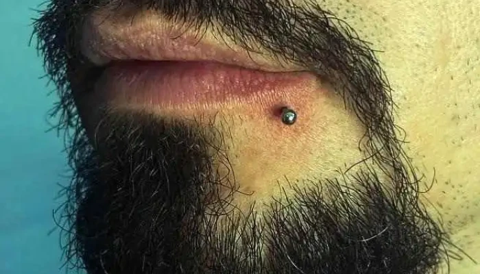 Julia Needle -    Piercing E Body Art Em Paracambi Do Proprietario - Paracambi