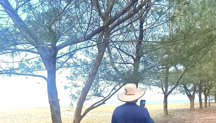 Lagoa De Iquipari -  Videos - São João Da Barra