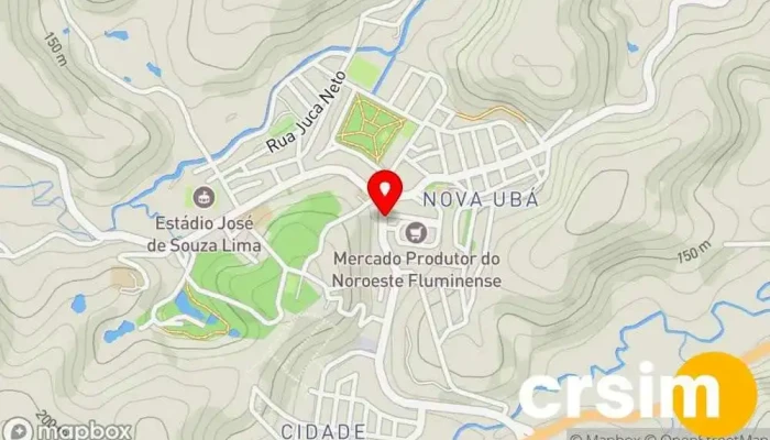mapa de LEANDRO PRODUTOS AGROVETERINÁRIO  em São José de Ubá