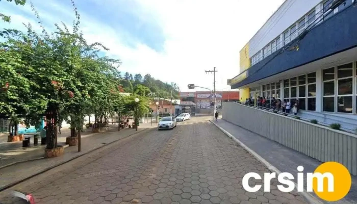 Loja Do Bino - 36 - Centro