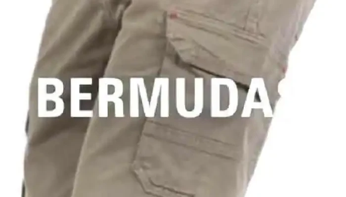 Lojas Taco -    Itaperuna Do Proprietario - Itaperuna